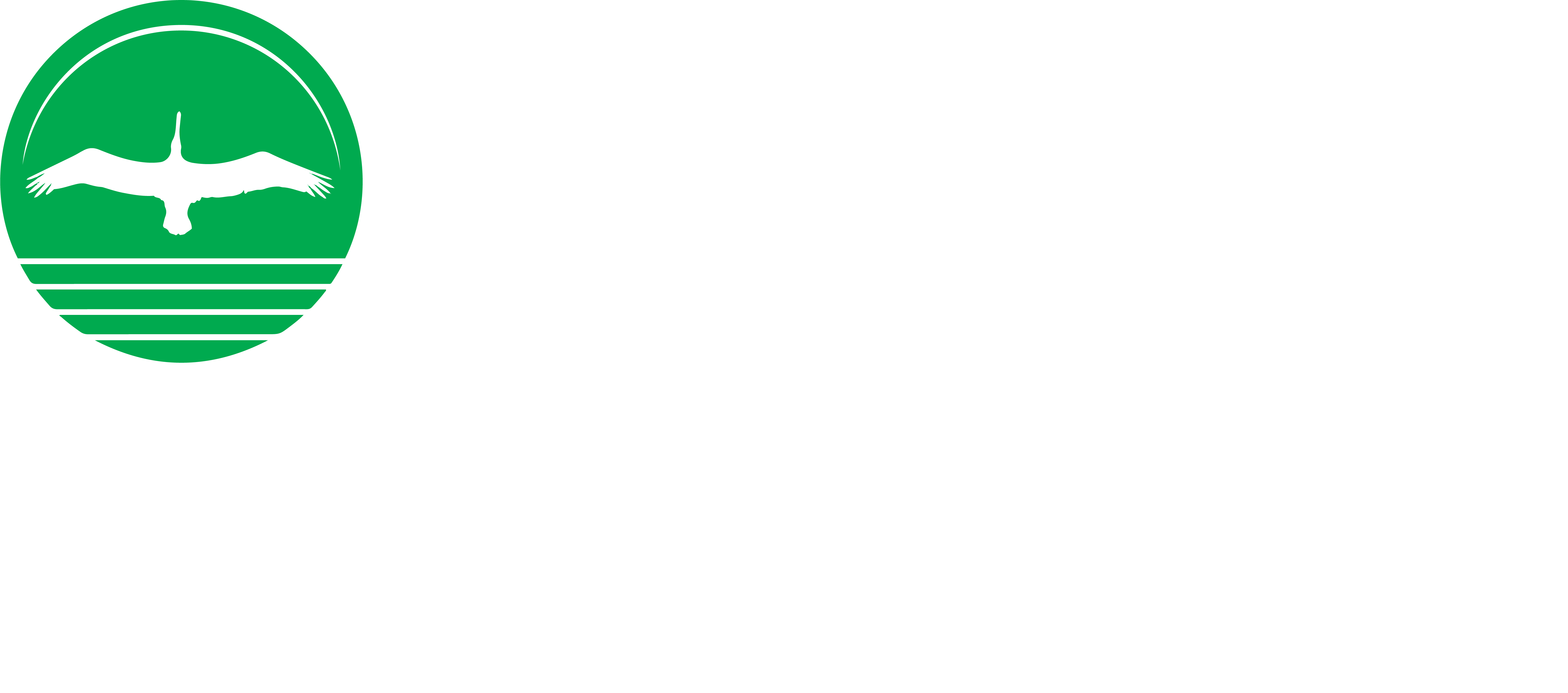 CCNB Amphitheatre logo